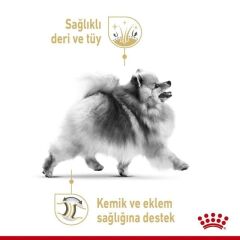 Pomeranian Adult Kuru Köpek Maması 1,5 kg.