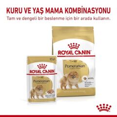 Pomeranian Adult Kuru Köpek Maması 1,5 kg.