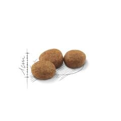 Royal Canin Sterilised 2 kg