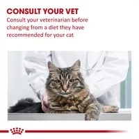 Royal Canin Veterinary Renal Select Kedi Kuru Maması 2 kg