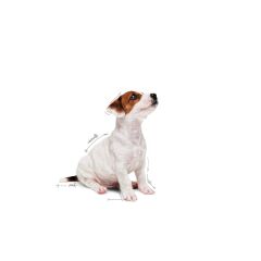Royal Canin® Puppy Mini Gravy Yavru Köpek Yaş Maması 85 Gr*12