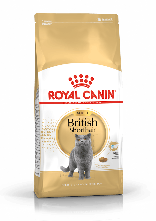 Royal Canin British Shorthair Kedi Maması 2 Kg.