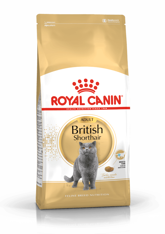 Royal Canin British Shorthair Kedi Maması 2 Kg.