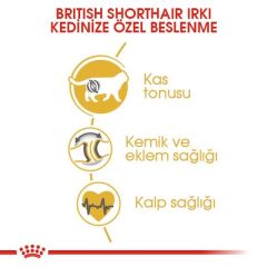 Royal Canin British Shorthair Kedi Maması 2 Kg.