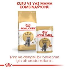 Royal Canin British Shorthair Kedi Maması 2 Kg.