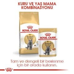 Royal Canin British Shorthair Kedi Maması 2 Kg.