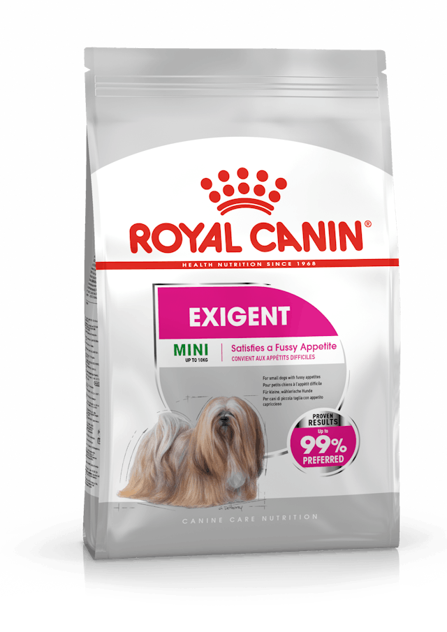 Royal Canin  Mini Exigent Köpek Maması 3 kg
