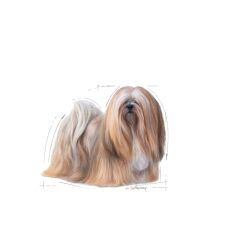 Royal Canin  Mini Exigent Köpek Maması 3 kg