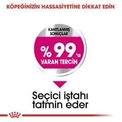 Royal Canin  Mini Exigent Köpek Maması 3 kg