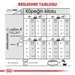 Royal Canin  Mini Exigent Köpek Maması 3 kg