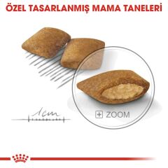 Royal Canin  Mini Exigent Köpek Maması 3 kg