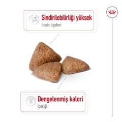 Royal Canin  Mini Indoor Adult Küçük Irk Yetişkin Köpek Maması  1,5 Kg