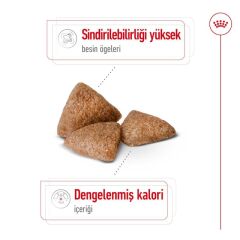 Royal Canin  Mini Indoor Adult Küçük Irk Yetişkin Köpek Maması  1,5 Kg