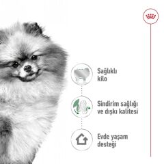Royal Canin  Mini Indoor Adult Küçük Irk Yetişkin Köpek Maması  1,5 Kg