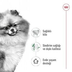 Royal Canin  Mini Indoor Adult Küçük Irk Yetişkin Köpek Maması  1,5 Kg