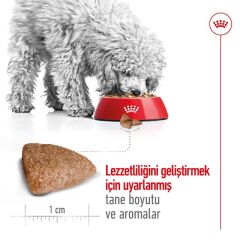 Royal Canin  Mini Indoor Adult Küçük Irk Yetişkin Köpek Maması  1,5 Kg