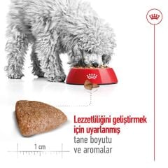 Royal Canin  Mini Indoor Adult Küçük Irk Yetişkin Köpek Maması  1,5 Kg