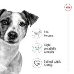 Royal Canin Mini Adult Küçük Irk Yetişkin Köpek Maması 2 Kg