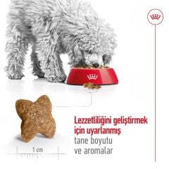 Royal Canin Mini Adult Küçük Irk Yetişkin Köpek Maması 2 Kg
