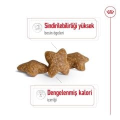 Royal Canin Mini Adult Küçük Irk Yetişkin Köpek Maması 2 Kg
