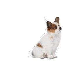 Royal Canin® X-Small Puppy Yavru Köpek Maması 1,5 Kg