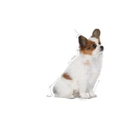 Royal Canin® X-Small Puppy Yavru Köpek Maması 1,5 Kg
