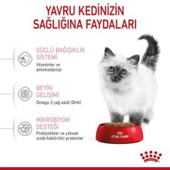 Royal Canin Kitten 10 kg Yavru Kedi Maması