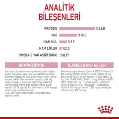 Royal Canin Kitten 10 kg Yavru Kedi Maması