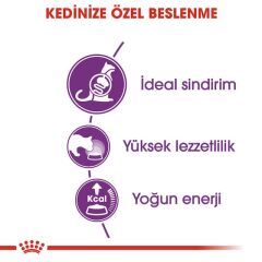 Royal Canin Sensible 33 2 kg Hassas Yetişkin Kuru Kedi Maması