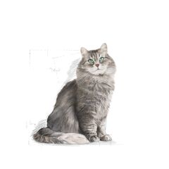 Royal Canin Sensible 33 2 kg Hassas Yetişkin Kuru Kedi Maması