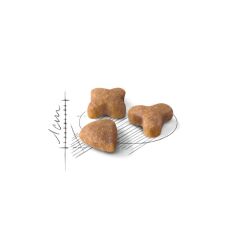 Royal Canin Sensible 33 2 kg Hassas Yetişkin Kuru Kedi Maması