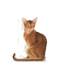 Royal Canin Exigent Savour Seçici Yetişkin Kedi Maması 2 Kg