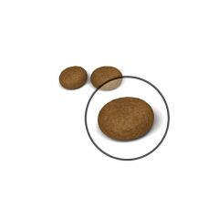 Royal Canin Hair Skin Hassas Tüylü Kediler İçin Mama 2 Kg