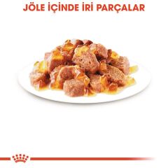 Royal Canin® Hair & Skin Care Yetişkin Kedi Yaş Maması 85 Gr *12