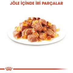Royal Canin® Hair & Skin Care Yetişkin Kedi Yaş Maması 85 Gr *12