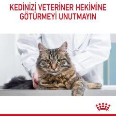 Royal Canin® Hair & Skin Care Yetişkin Kedi Yaş Maması 85 Gr *12