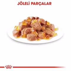 Royal Canin Jelly Sterilised Kısırlaştırılmış Yaş Kedi Maması 85 Gr x  12