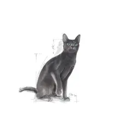 ROYAL CANİN Sterilised 37 Kısırlaştırılmış Yetişkin Kedi Kuru Maması 15 KG.