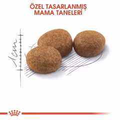 ROYAL CANİN Sterilised 37 Kısırlaştırılmış Yetişkin Kedi Kuru Maması 10 KG.